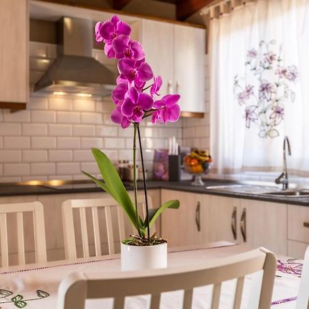 Casa Quintana - Apartamento Carla Tijarafe Zewnętrze zdjęcie